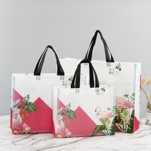 Custom catering commercial non woven bag